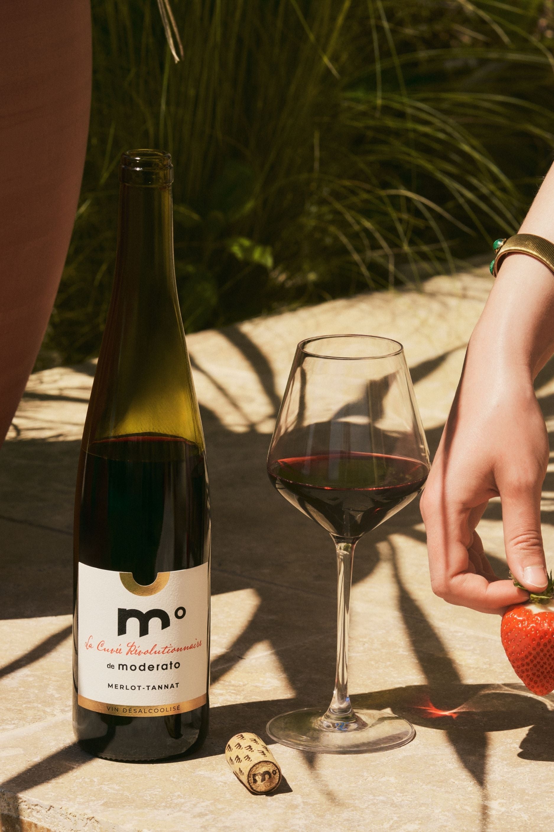 Le Merlot-Tannat - La Cuvée Révolutionnaire