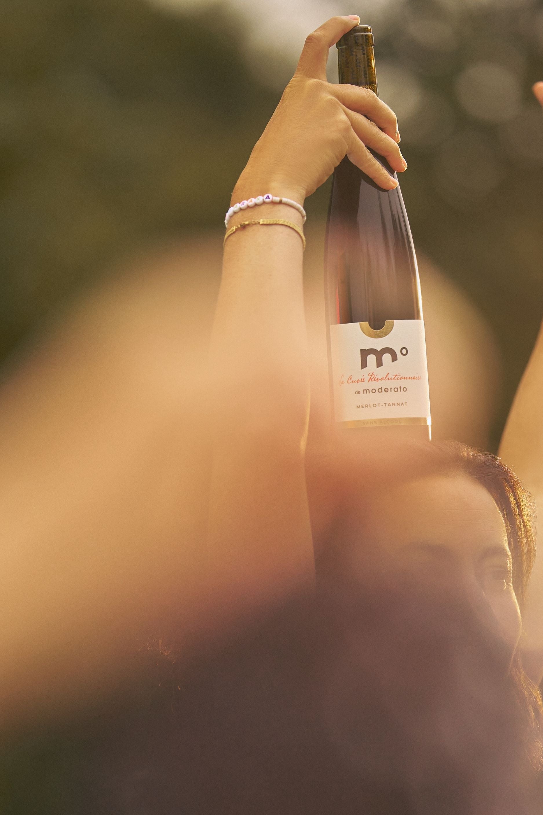 Le Merlot-Tannat - La Cuvée Révolutionnaire