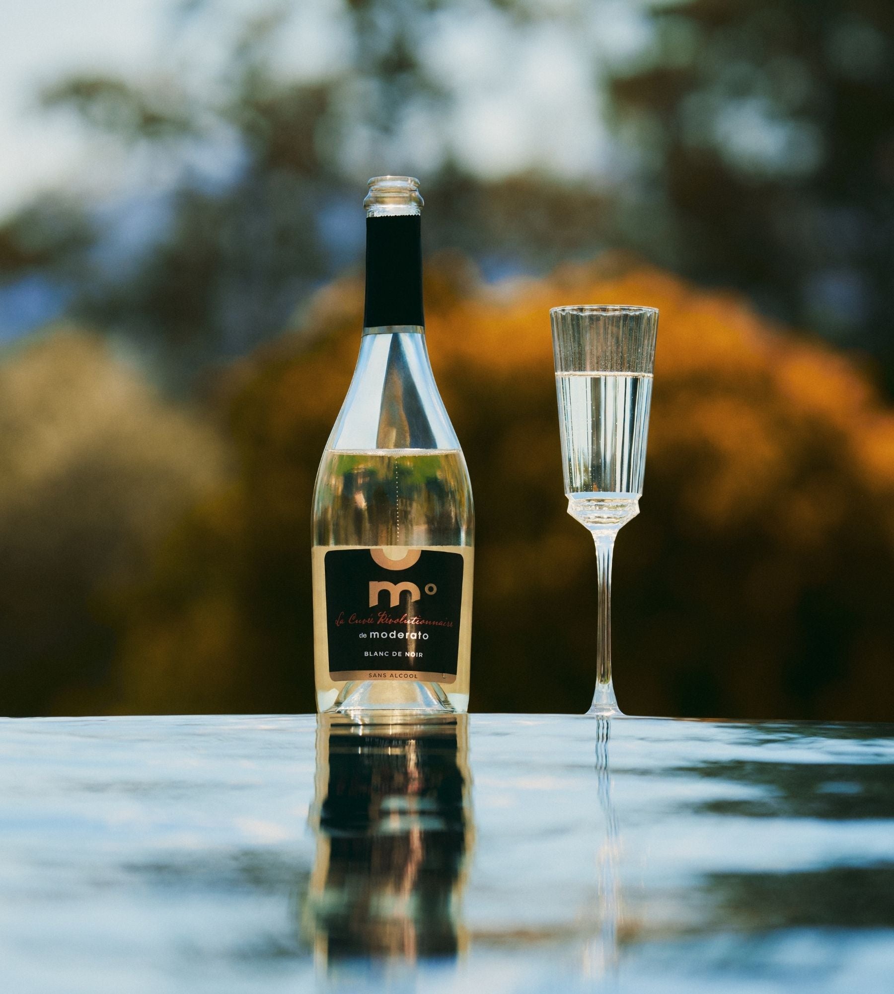 Alcohol-free sparkling 'Blanc de Noir' - Revolutionary Cuvée