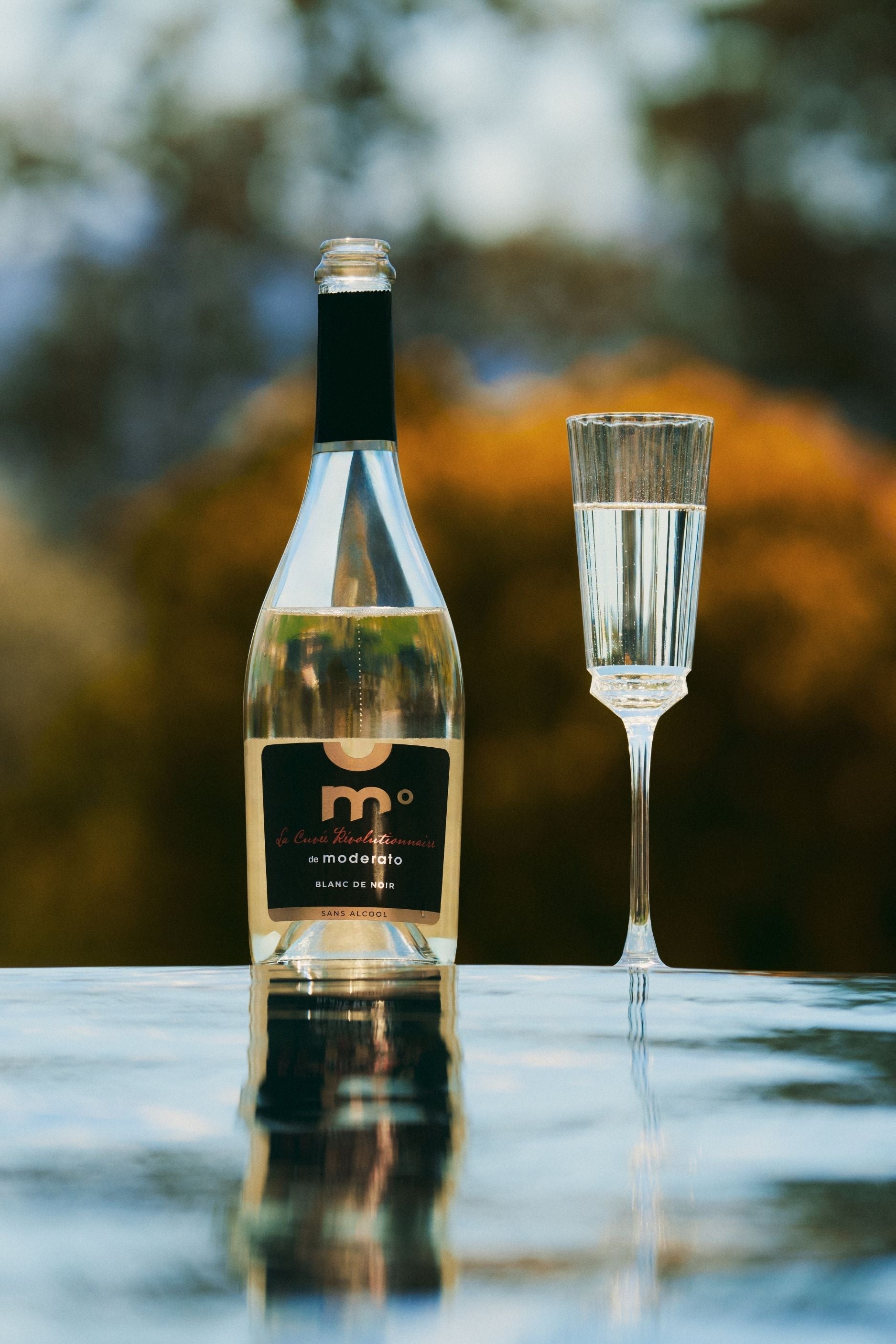 Alcohol-free sparkling 'Blanc de Noir' - Revolutionary Cuvée 